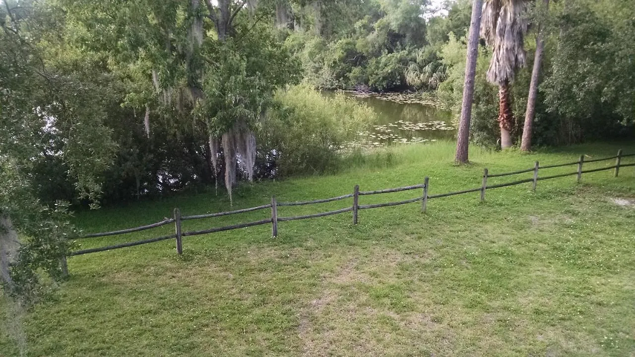 Tampa Lakehouse